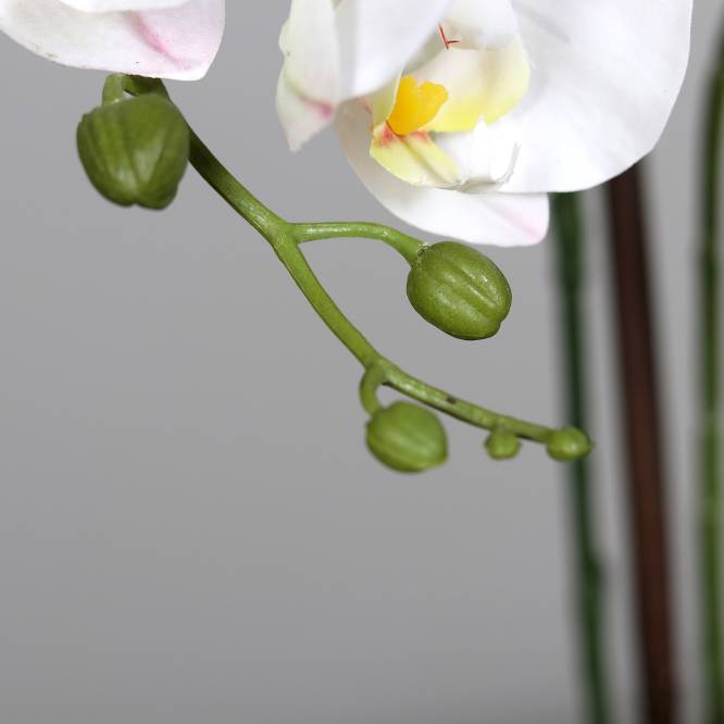 Orhidee artificiala Phalaenopsis alba in vas ceramic crem, 50 cm