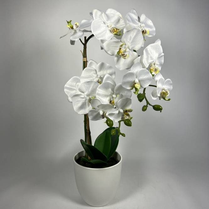 Orhidee artificiala alba in vas de plastic 53 cm