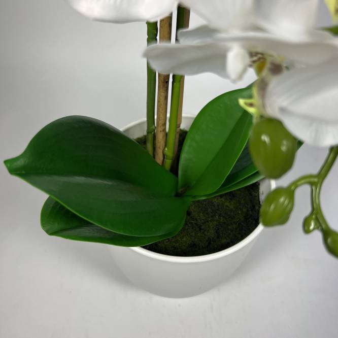Orhidee artificiala alba in vas de plastic 53 cm