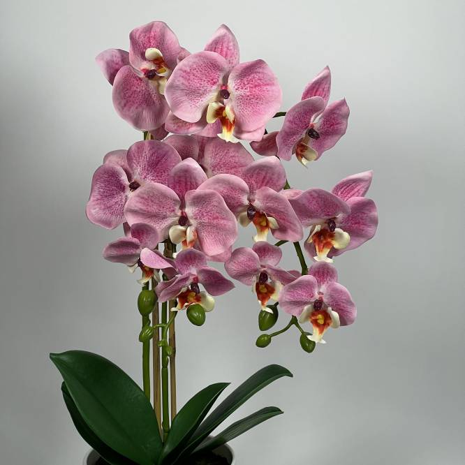 Orhidee artificiala roz in vas de plastic 53 cm