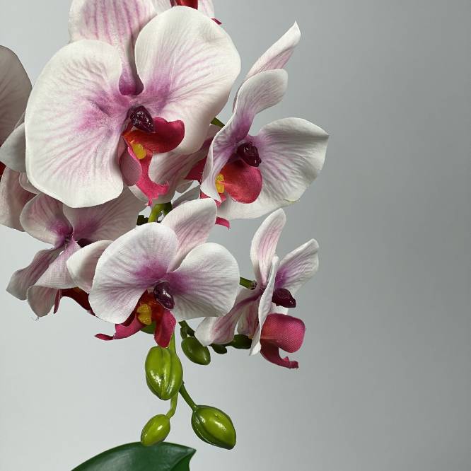 Orhidee artificiala alb cu roz in vas de plastic 53 cm