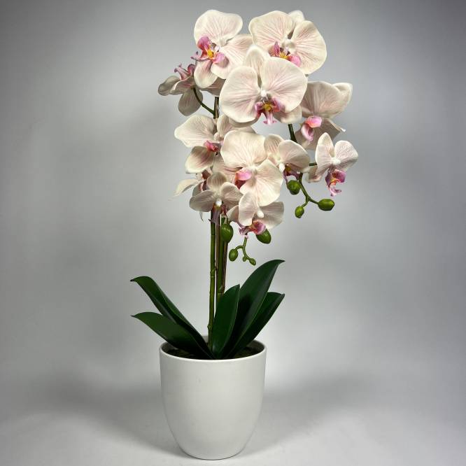 Orhidee artificiala alb rozaliu in vas de plastic 53 cm