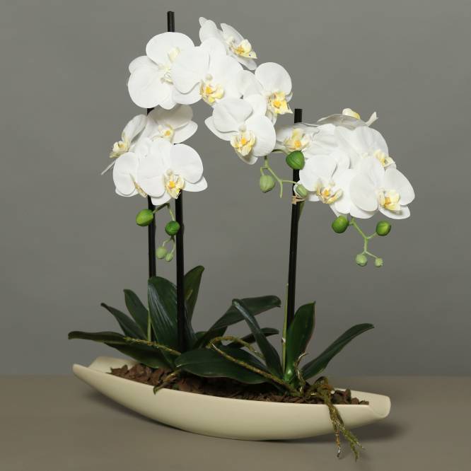 Orhidee artificiala alba cu aspect 100% natural vas barcuta 50 cm