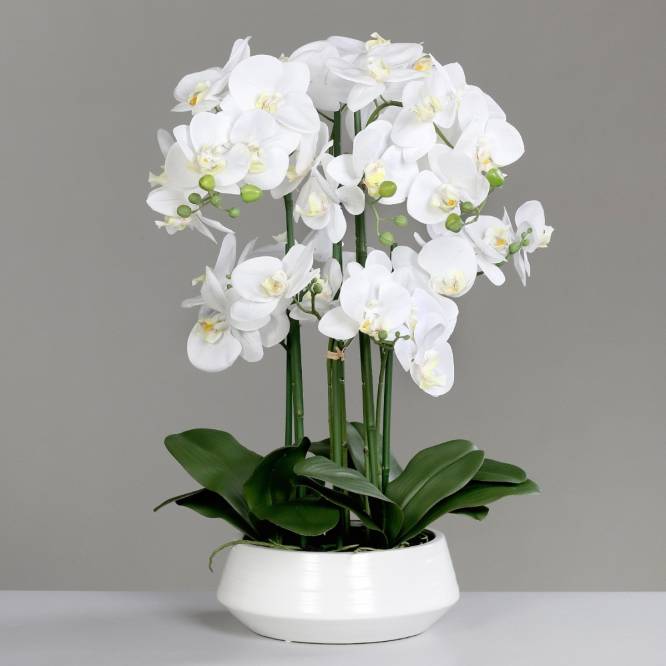 Aranjament cu orhidee artificiala alba in vas ceramic, 70 cm