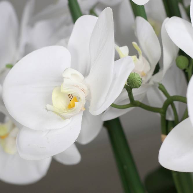 Aranjament cu orhidee artificiala alba in vas ceramic, 70 cm