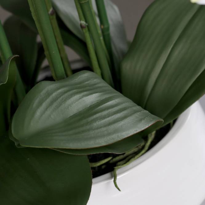 Aranjament cu orhidee artificiala alba in vas ceramic, 70 cm