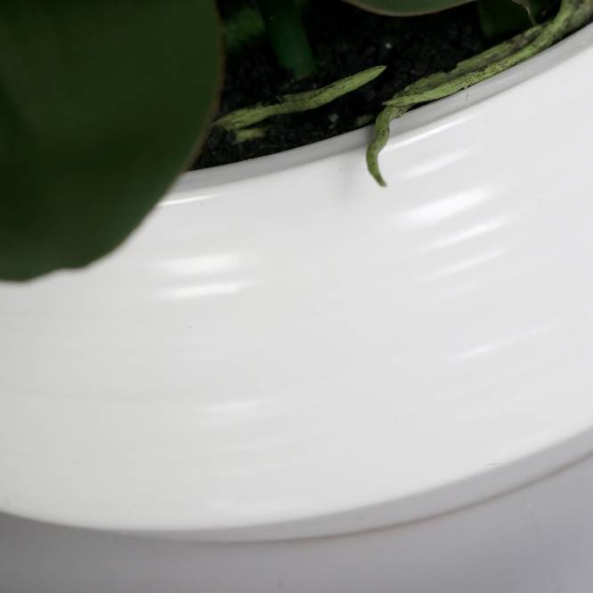 Aranjament cu orhidee artificiala alba in vas ceramic, 70 cm