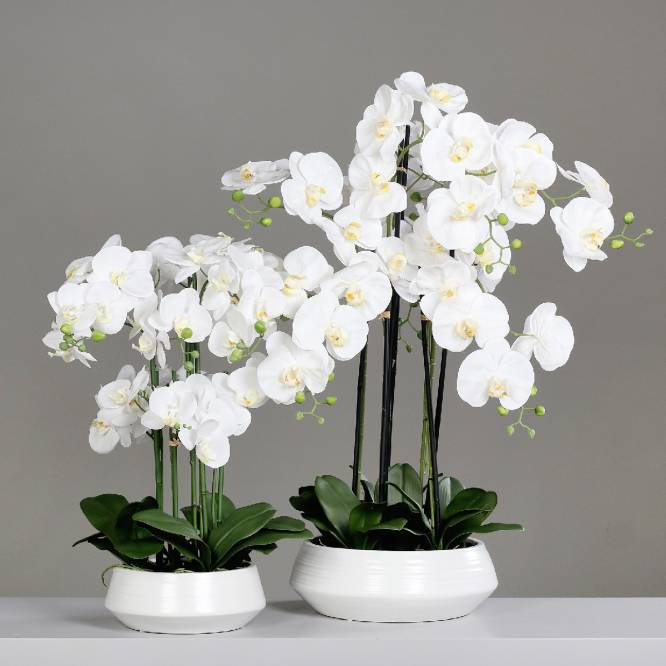 Aranjament cu orhidee artificiala alba in vas ceramic, 70 cm