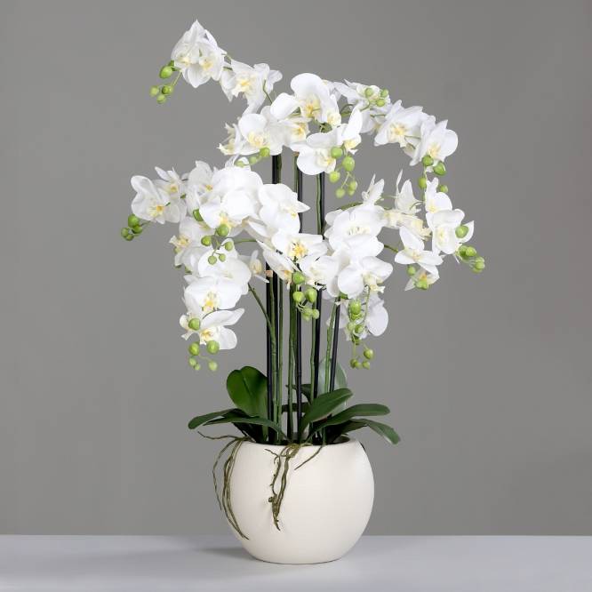 Aranjament cu orhidee artificiala alba in vas de plastic, 85 cm