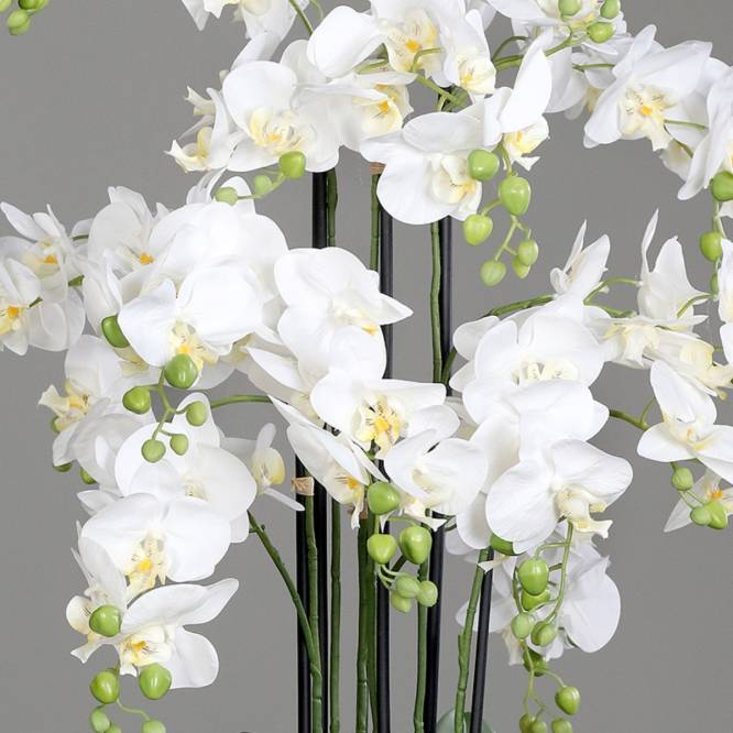 Aranjament cu orhidee artificiala alba in vas de plastic, 85 cm