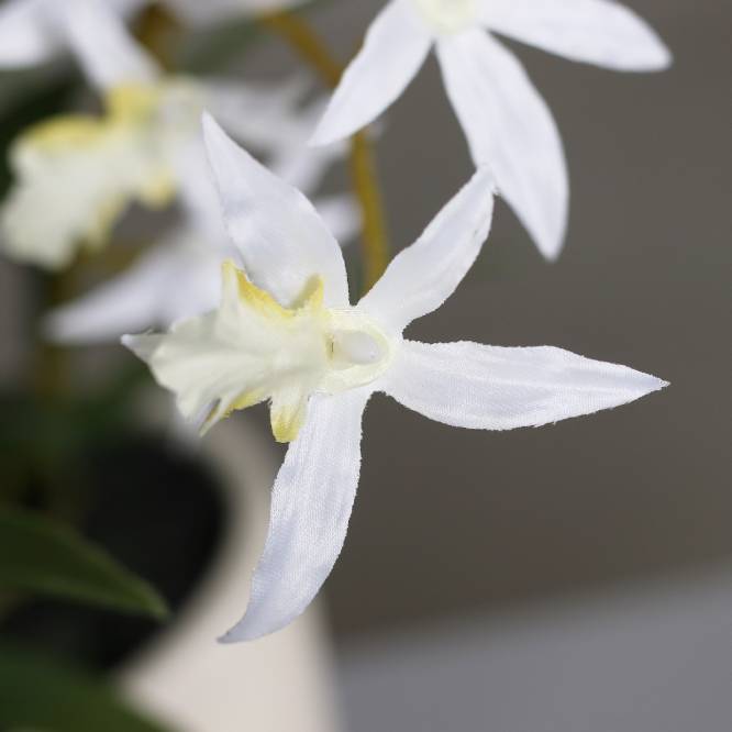 Aranjament cu orhidee artificiala Spider alba in vas ceramic, 35 cm