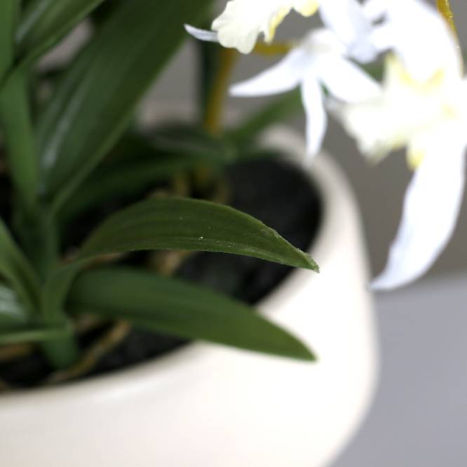 Aranjament cu orhidee artificiala Spider alba in vas ceramic, 35 cm