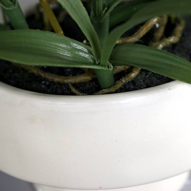 Aranjament cu orhidee artificiala Spider alba in vas ceramic, 35 cm