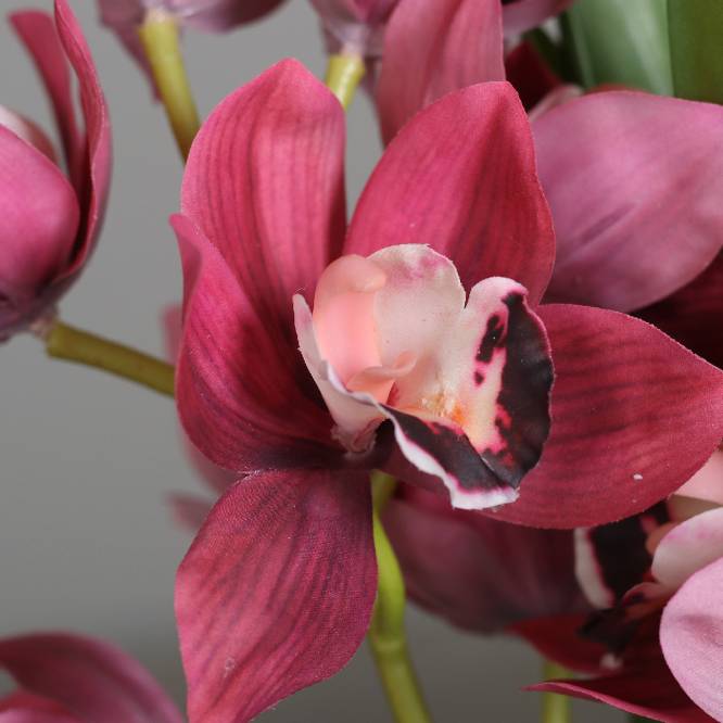 Aranjament premium cu orhidee artificiala Cymbidium roz inchis in vas de sticla, 48 cm