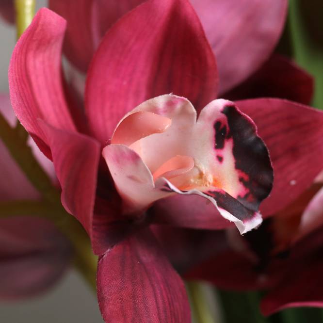 Aranjament premium cu orhidee artificiala Cymbidium roz inchis in vas de sticla, 48 cm