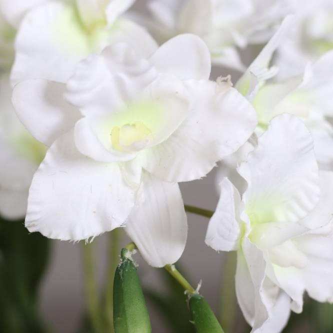Aranjament cu orhidee artificiala Dendrobium alba in vas ceramic, 47 cm
