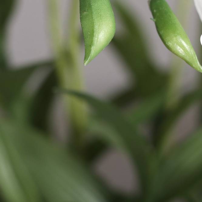 Aranjament cu orhidee artificiala Dendrobium alba in vas ceramic, 47 cm