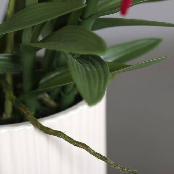 Aranjament cu orhidee artificiala Dendrobium fucsia in vas ceramic, 47 cm