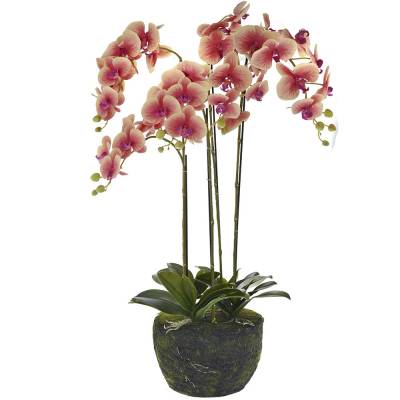 Orhidee artificiala roz-crem in bila de pamant 105 cm