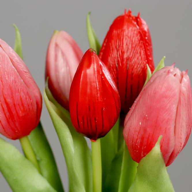 Buchet de 5 lalele artificiale cu aspect real, nuante de rosu, 31 cm