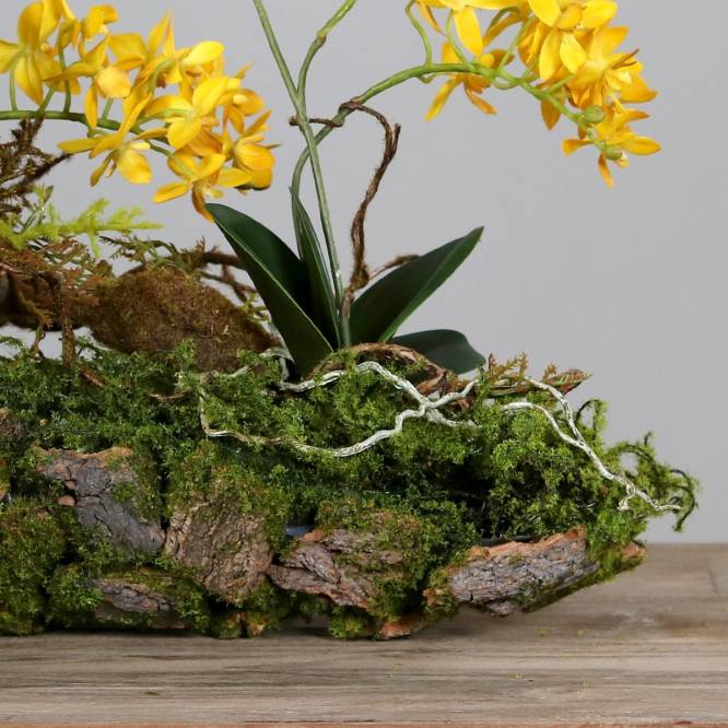 Aranjament artificial cu orhidee galbena, pe suport lemnos cu muschi, 50 cm