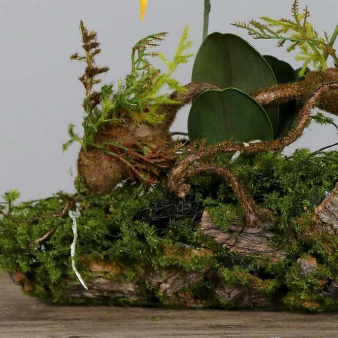 Aranjament artificial cu orhidee galbena, pe suport lemnos cu muschi, 50 cm