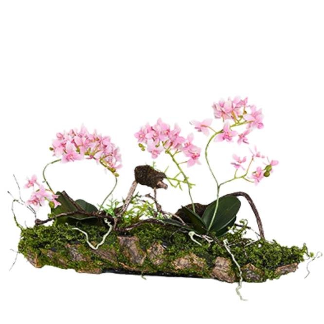 Aranjament artificial cu orhidee roz, pe suport lemnos cu muschi, 50 cm