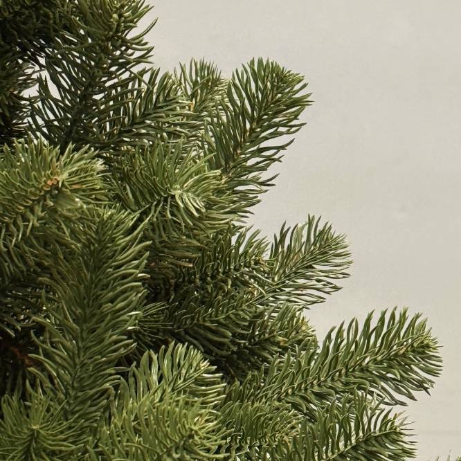 Brad artificial verde cu ace 3D, 100% PE, 210 cm