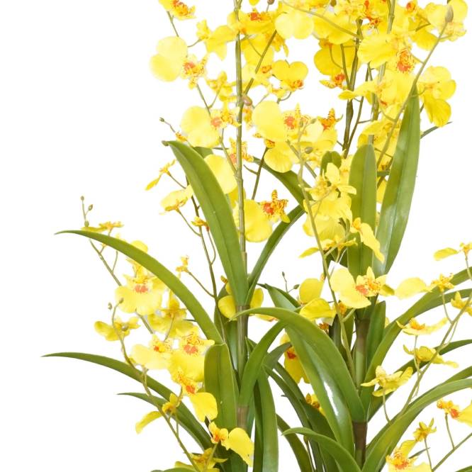 Aranjament cu orhidee artificiala Oncidium galbena in vas de plastic, 100 cm