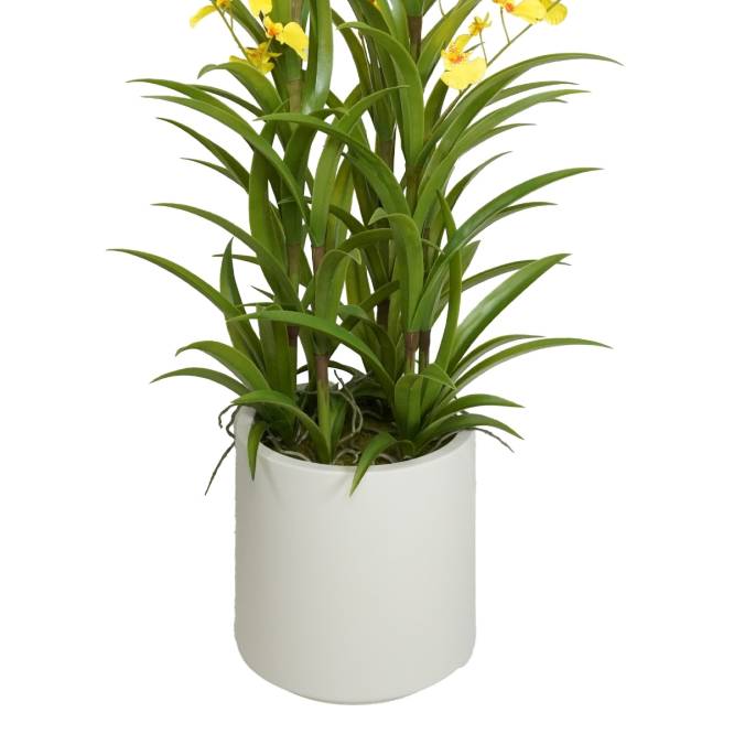 Aranjament cu orhidee artificiala Oncidium galbena in vas de plastic, 100 cm
