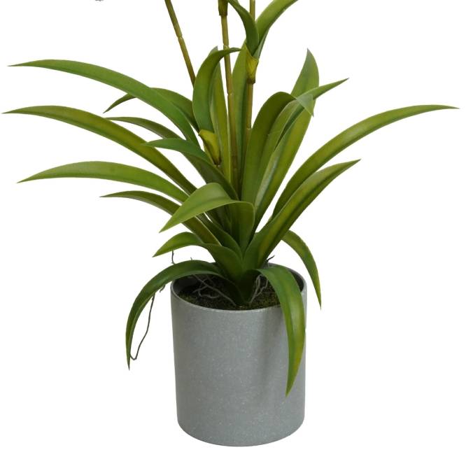 Orhidee artificiala Oncidium alba cu 3 fire, in vas de plastic, 70 cm