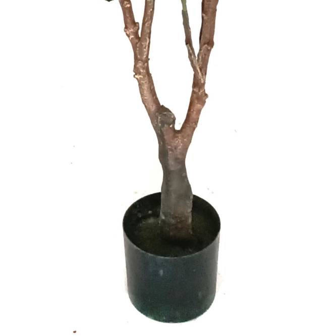 Planta decorativa Magnolia Grandiflora in ghiveci de plastic, 150 cm