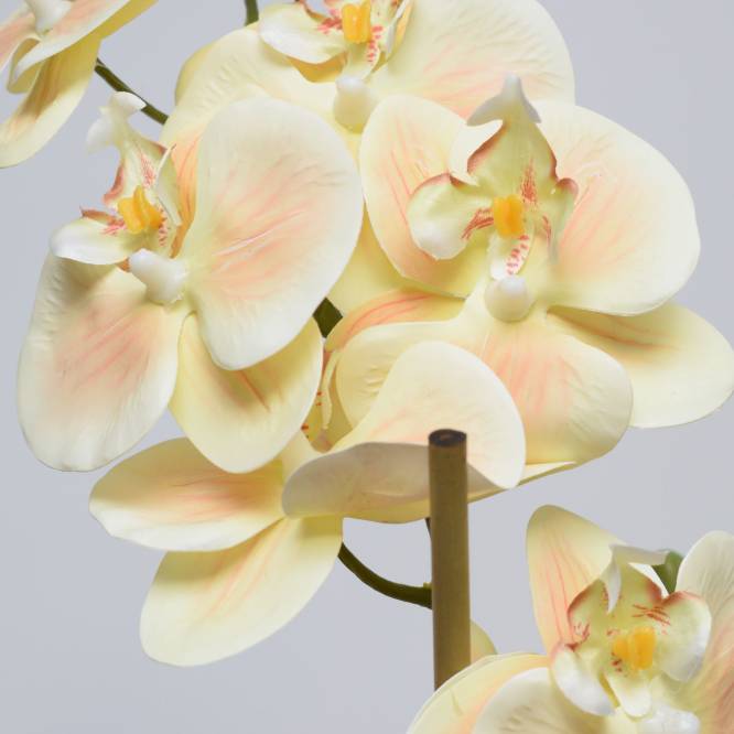 Orhidee artificiala Phalaenopsis crem cu aspect 100% natural in vas ceramic, 57 cm