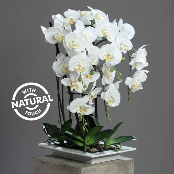 Orhidee artificiala Phalaenopsis Fresh alba cu aspect 100% natural in vas ceramic ,  62 cm