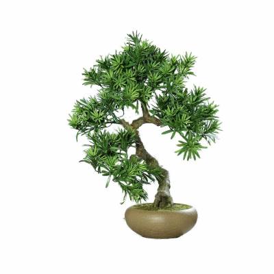 Bonsai artificial Podocarpus  in vas ceramic,aspect foarte realistic, 55 cm