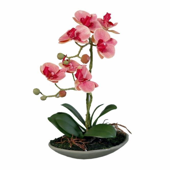 Orhidee artificiala  Phalaenopsis somon cu aspect 100% natural in vas ceramic, 30 cm