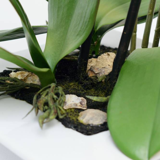 Orhidee artificiala Phalaenopsis Fresh vernil cu aspect 100% natural in vas ceramic, 46 cm