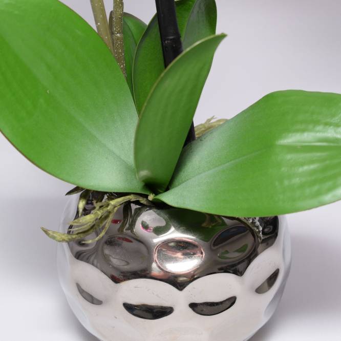 Orhidee artificiala Phalaenopsis mov cu aspect 100% natural 50 cm
