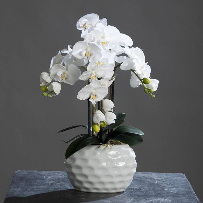 Orhidee artificiala Phalaenopsis alba in vas ceramic, 59 cm