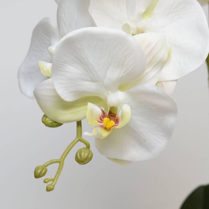 Orhidee artificiala Phalaenopsis alba 58 cm in vas ceramic
