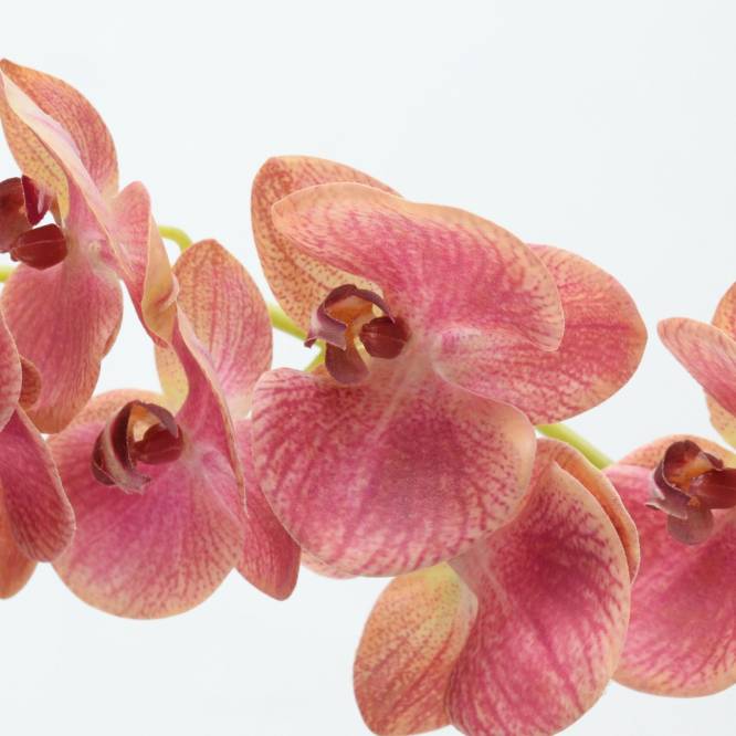 Orhidee artificiala Phalaenopsis roz cu aspect 100% natural, 74 cm