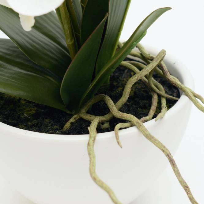 Orhidee artificiala Phalaenopsis alba in vas ceramic, 35 cm