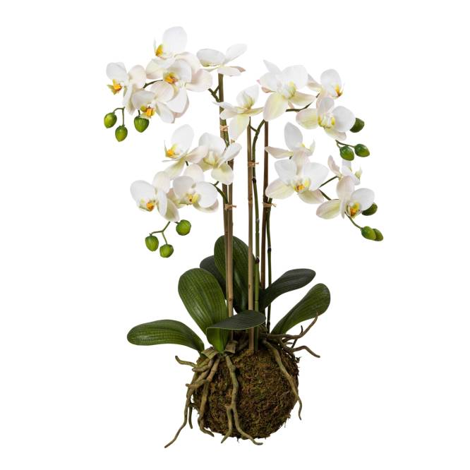 Orhidee artificiala Phalaenopsis alba in bila de pamant, cu  aspect 100% natural, 54 cm
