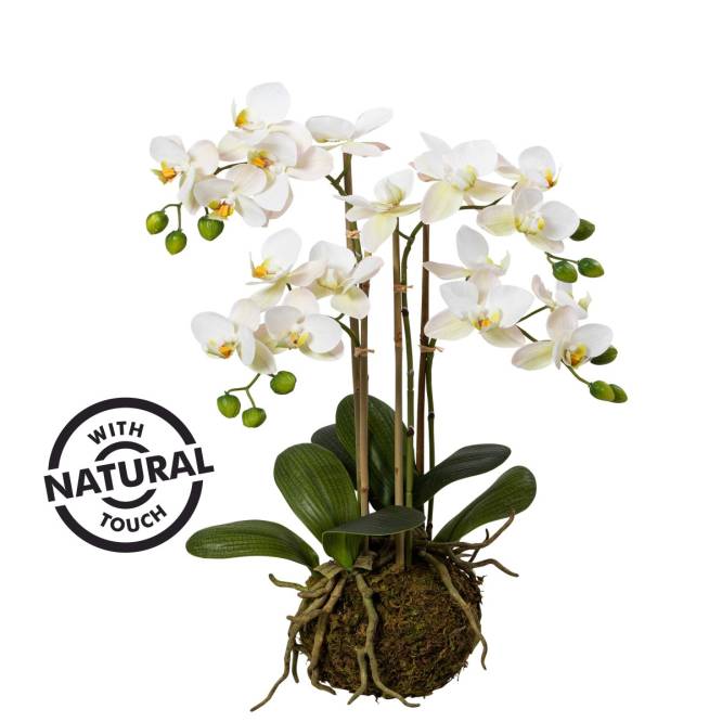 Orhidee artificiala Phalaenopsis alba in bila de pamant, cu  aspect 100% natural, 54 cm