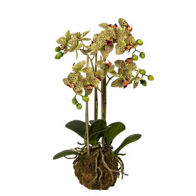 Orhidee artificiala Phalaenopsis galbena in bila de pamant, cu  aspect 100% natural, 54 cm