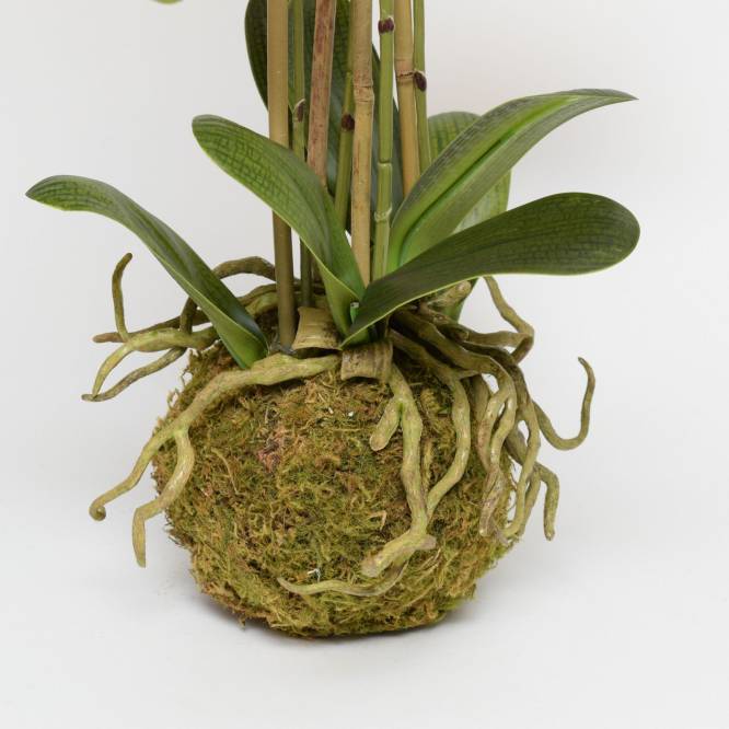 Orhidee artificiala Phalaenopsis galbena in bila de pamant, cu  aspect 100% natural, 54 cm