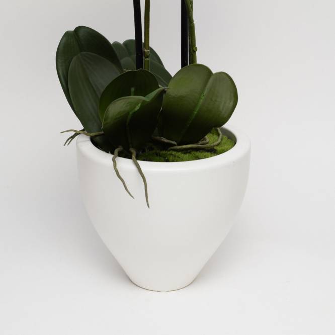 Orhidee artificiala Phalaenopsis alba cu aspect 100% natural in vas ceramic, 70 cm