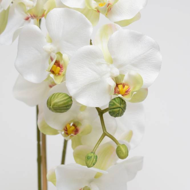 Orhidee artificiala 60 cm in vas ceramic Phalaenopsis alba