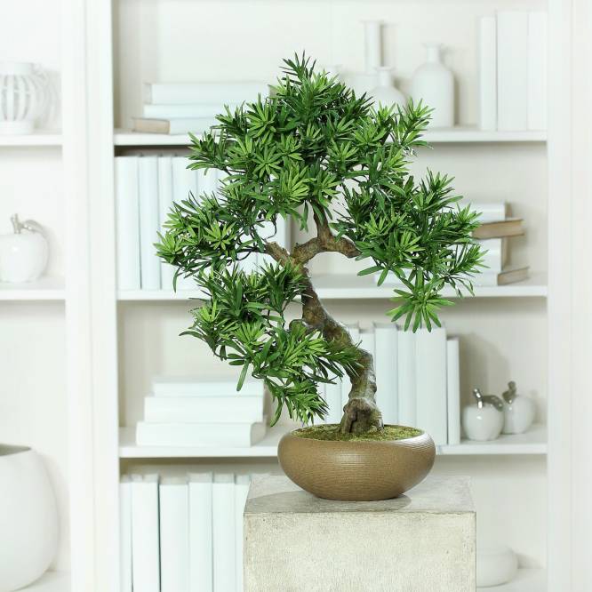 Bonsai artificial Podocarpus  in vas ceramic,aspect foarte realistic, 55 cm