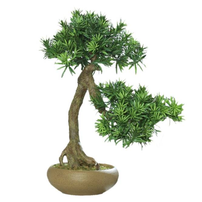 Bonsai artificial Podocarpus in vas ceramic, aspect foarte realistic, 60 cm